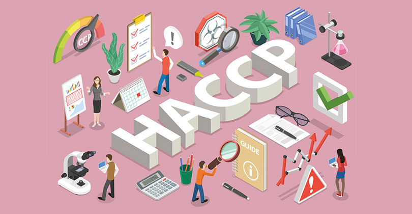 Was ist HACCP: Der Schriftzug liegt auf pinkem Hintergrund, passende, gezeichnete Männchen und Gegenstände sind darum verteilt