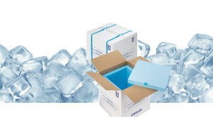 Kühlverpackung