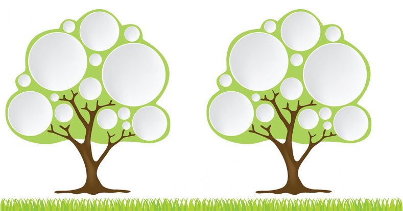 bubble-tree