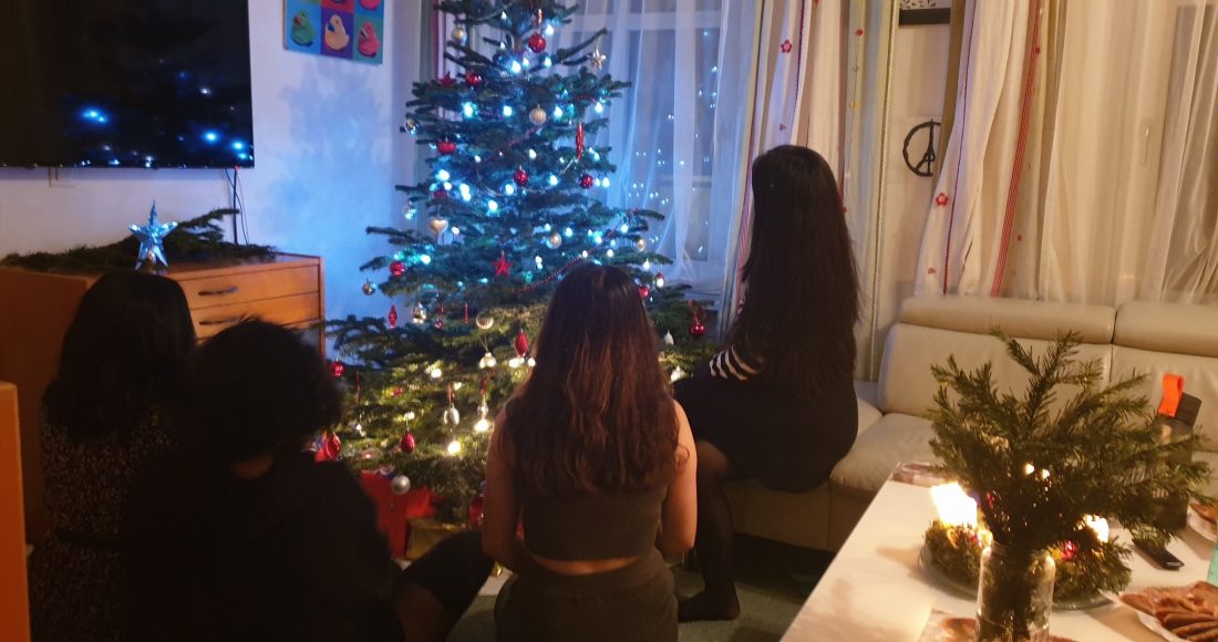 Weihnachten-Papatya-3-scaled